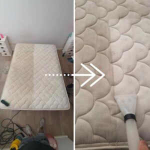 empresa de lavado de alfombras