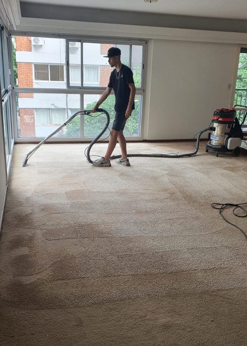 servicio de limpieza alfombras a domicilio