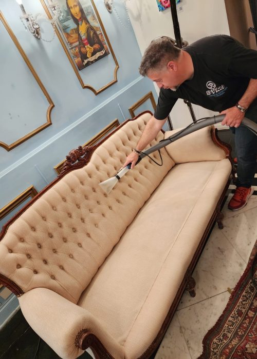 Limpieza Sillón