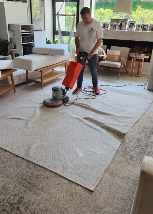 Limpieza Alfombras
