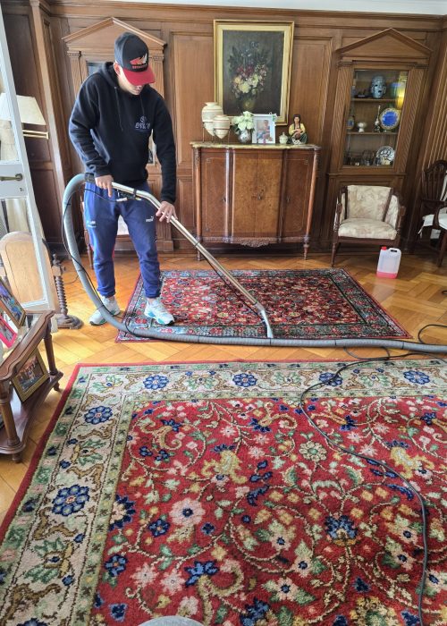 limpieza moquette